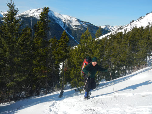 elk mtn snowshoe